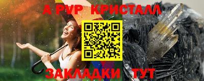 спиды Гай